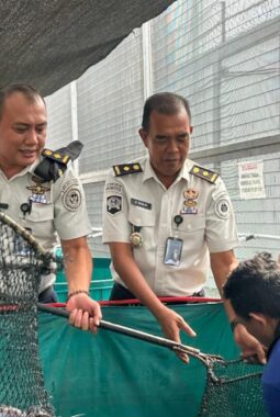 berita-rekomendasi-foto