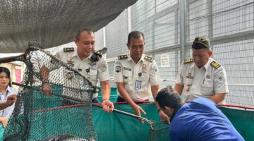 Panen Raya Lele 250 Kg, Lapas Kelas I Medan Optimalkan Program Ketahanan Pangan dan Pembinaan Kemandirian
