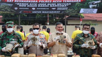 Pengabdian yang Tulus Selalu Meninggalkan Jejak, Kapolres Aceh Tenggara Pimpin Pemusnahan 161,9 Kilogram Ganja