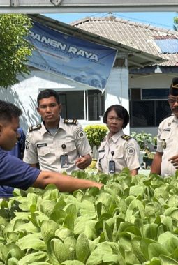 berita-rekomendasi-foto