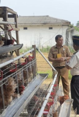 berita-rekomendasi-foto
