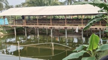 Inovasi Ketahanan Pangan Rutan Tanjung Pura: Sulap Lahan Jadi Sektor Pertanian dan Peternakan Produktif